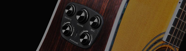 pickup-double-s5-acousticplus-tren-dan-guitar-enya