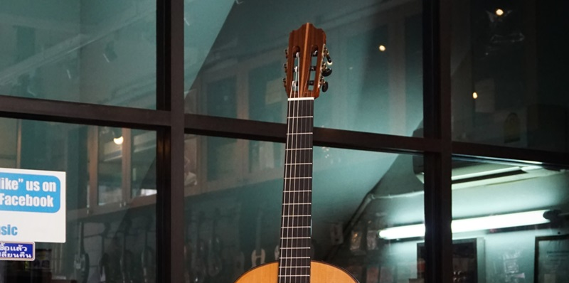 top-5-mau-dan-guitar-gotar-chinh-hang-duoc-lua-chon-nhieu-nhat-2026