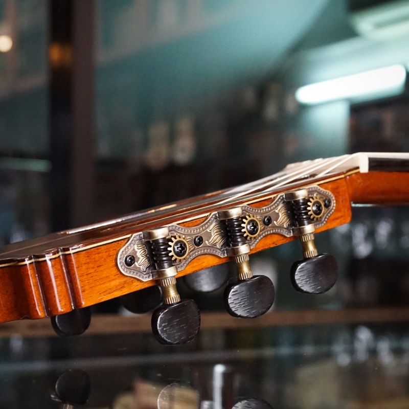 top-5-mau-dan-guitar-gotar-chinh-hang-duoc-lua-chon-nhieu-nhat-2026