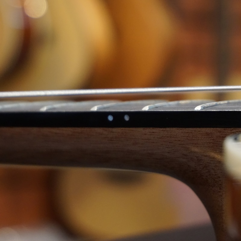 top-5-mau-dan-guitar-gotar-chinh-hang-duoc-lua-chon-nhieu-nhat-2026