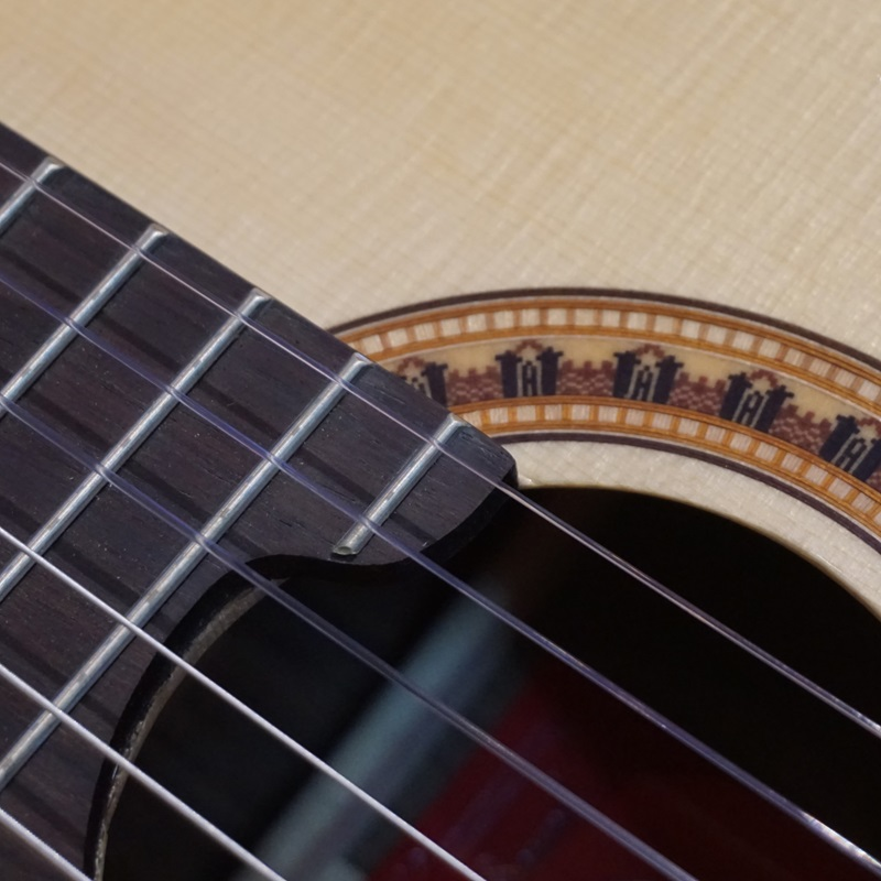 top-5-mau-dan-guitar-gotar-chinh-hang-duoc-lua-chon-nhieu-nhat-2026