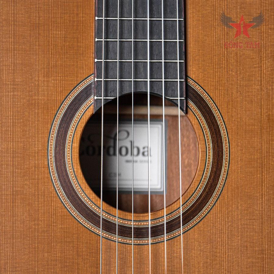 phim-dan-va-day-dan-guitar-gia-re-cordoba-c3m