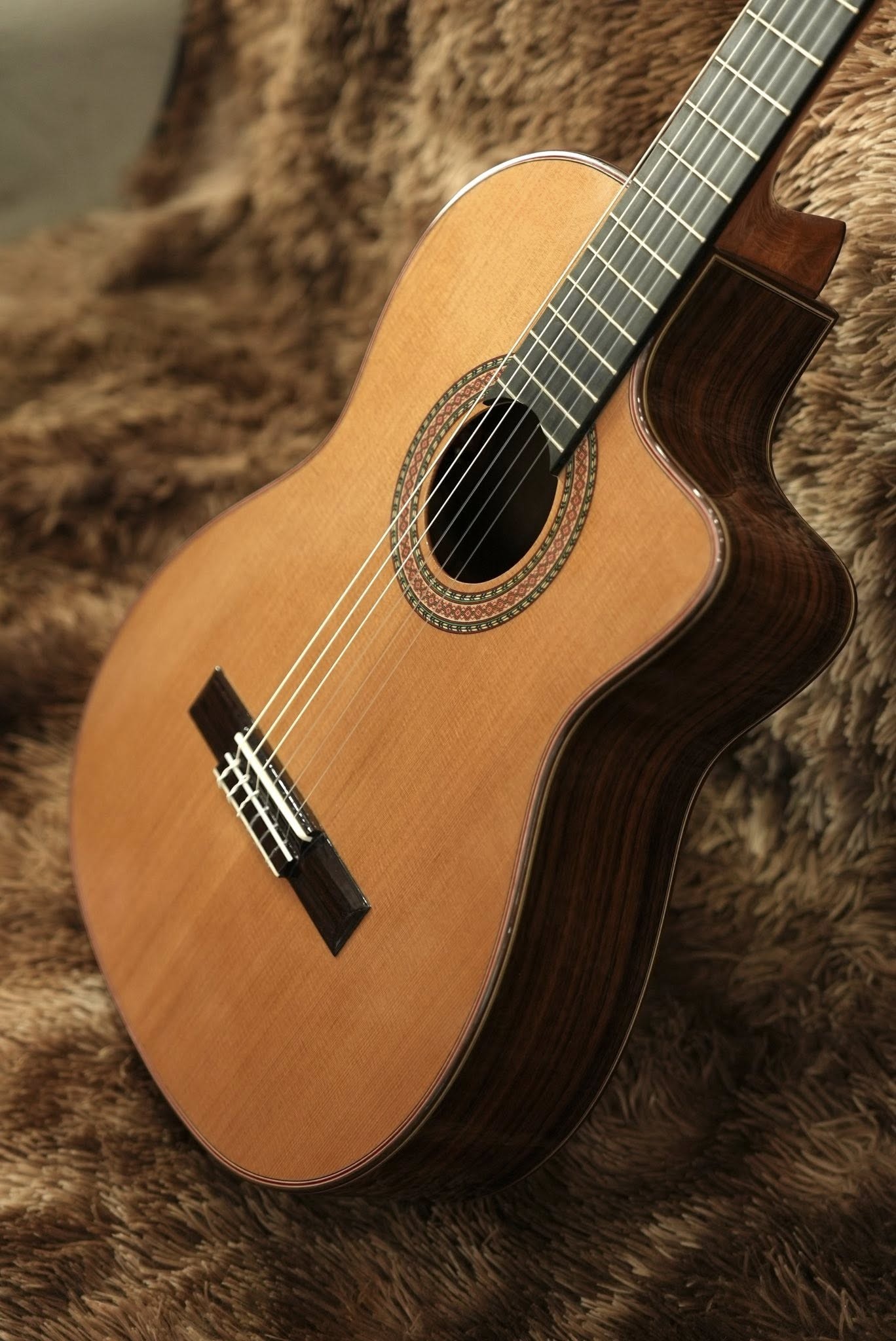 lung-va-hong-dan-guitar-classic-antonio-de-toledo-at15ce