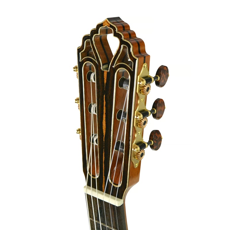 dan-guitar-electric-aguda-music-boy-pro-hss-maple-fingerboard-khoa-dan