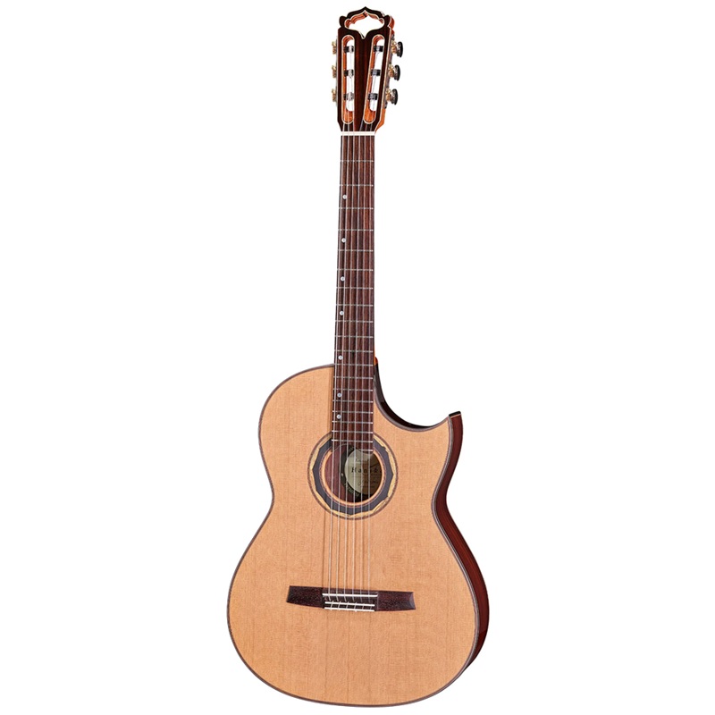 dan-guitar-classic-hanika-fusion-pc-cedar