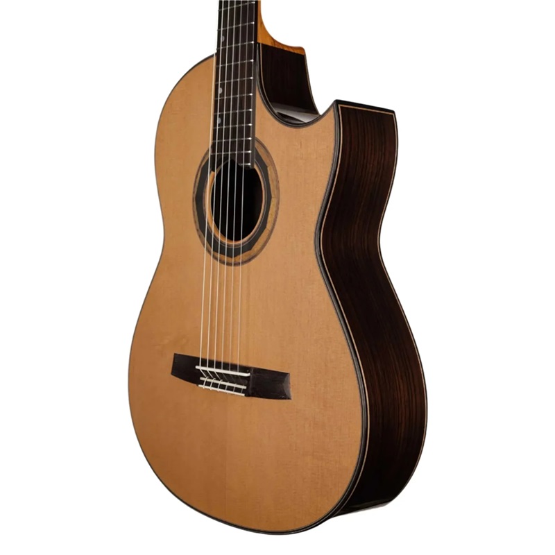 dan-guitar-classic-hanika-fusion-pc-cedar-mat-top
