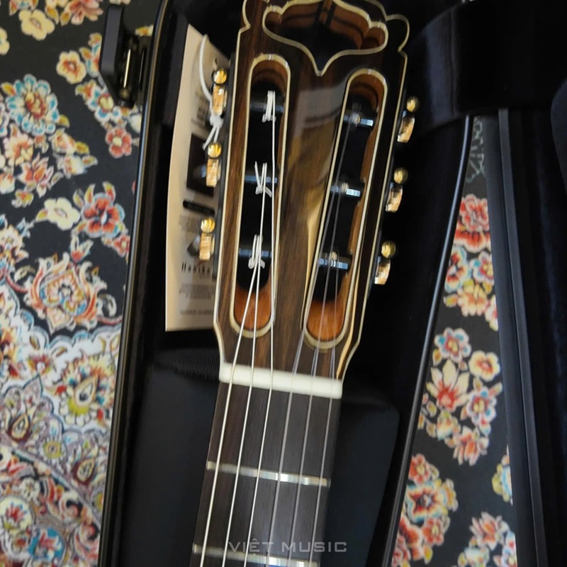 dan-guitar-classic-hanika-fusion-pc-cedar-khoa-dan