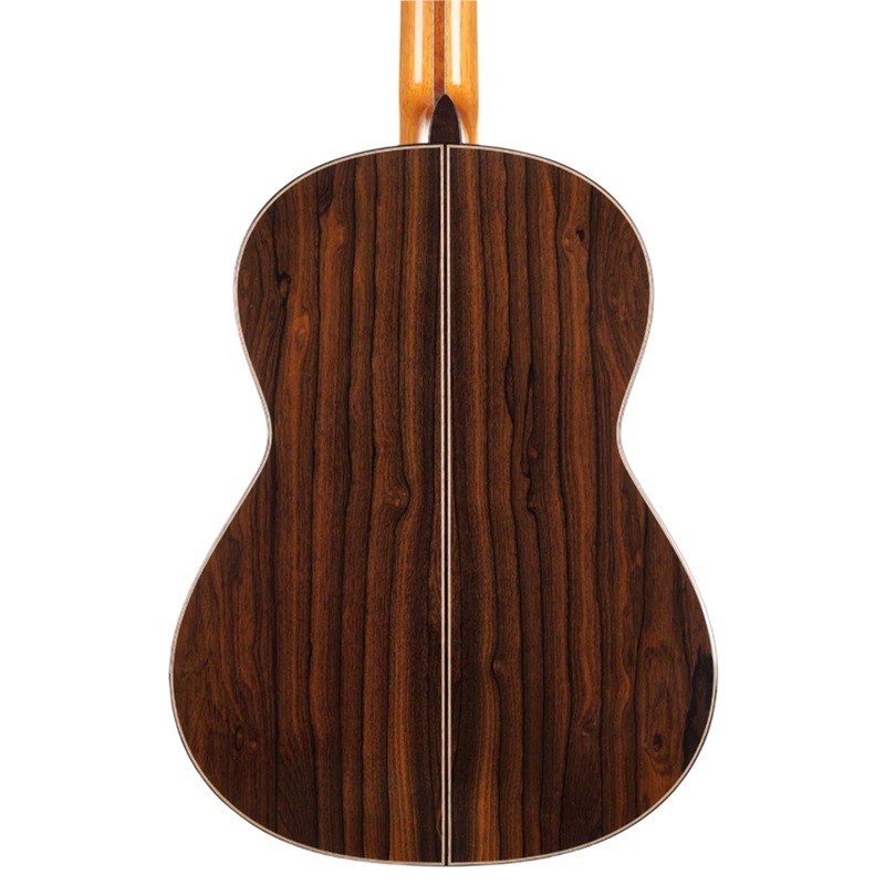 dan-guitar-classic-hanika-1a-torres-spruce-mat-sau