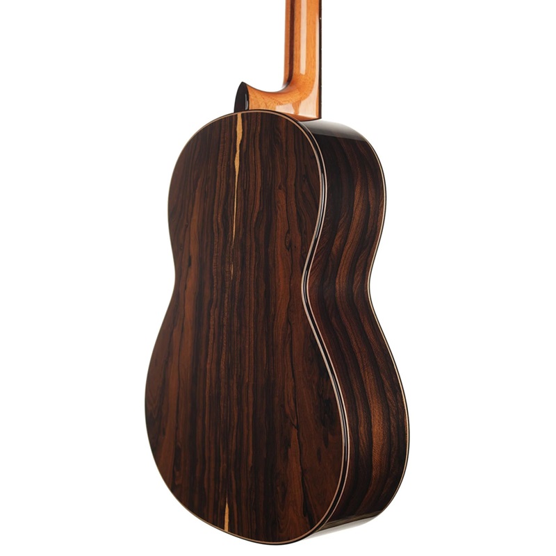 dan-guitar-classic-hanika-1a-dtl-cedar-mat-lung