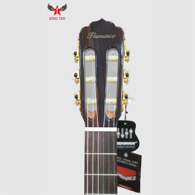 dan-guitar-flamenco-jx55c-ce-khoa-dan