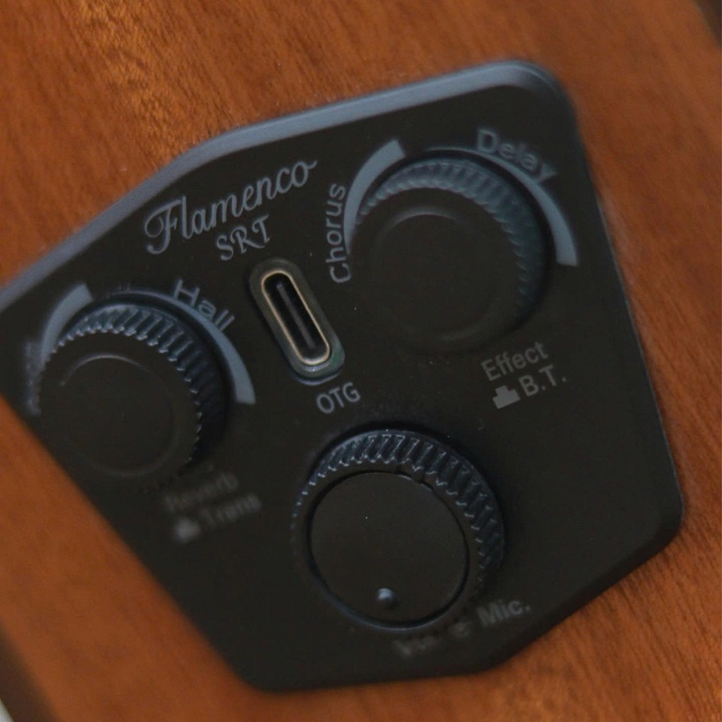 dan-guitar-flamenco-jx55c-ce-eq