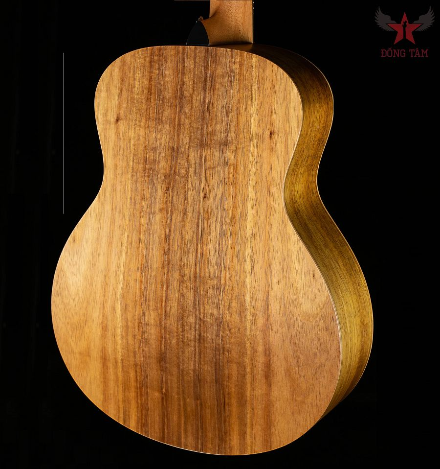 lung-va-hong-cua-gs-mini-koa