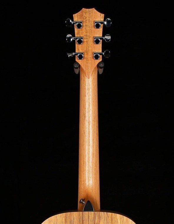 can-dan-cua-taylor-gs-mini-koa