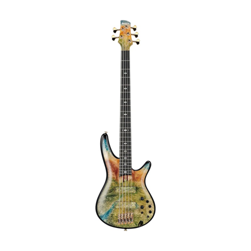 dan-guitar-bass-ibanez-j-custom-shop-jcsr2023--sr-jcustom-ss-ebony-fingerboard-river-canyon--5-strings