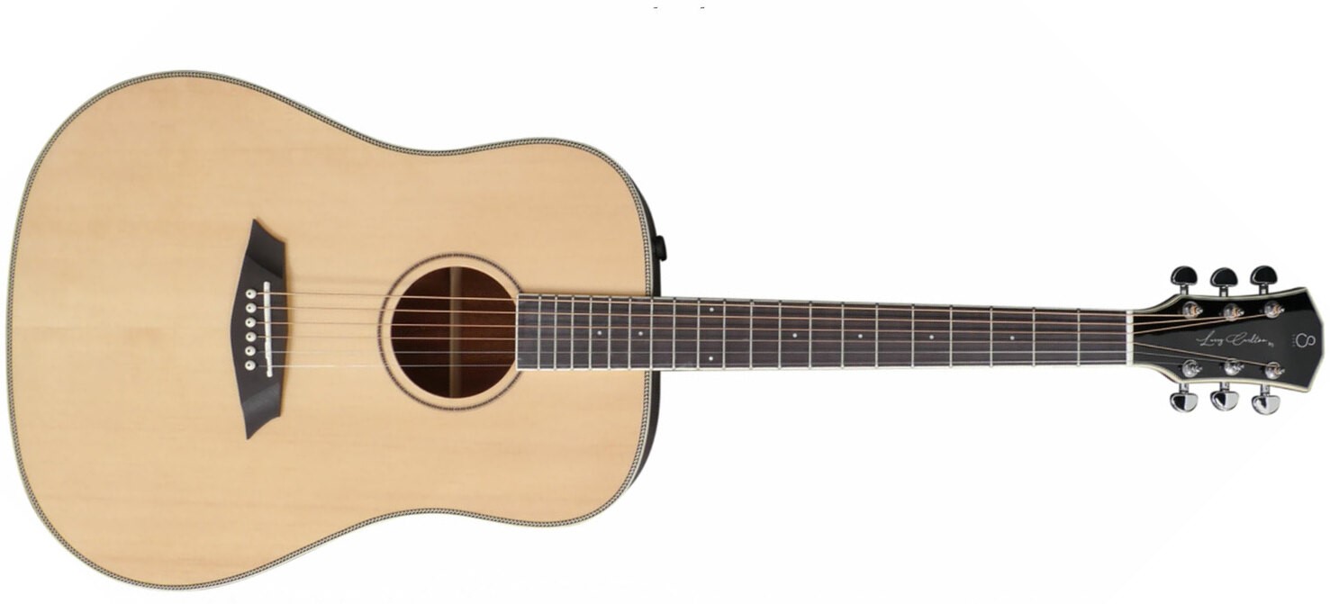 can-dan-va-mat-phim-cua-dan-guitar-acoustic-sire-larry-carlton-a3d