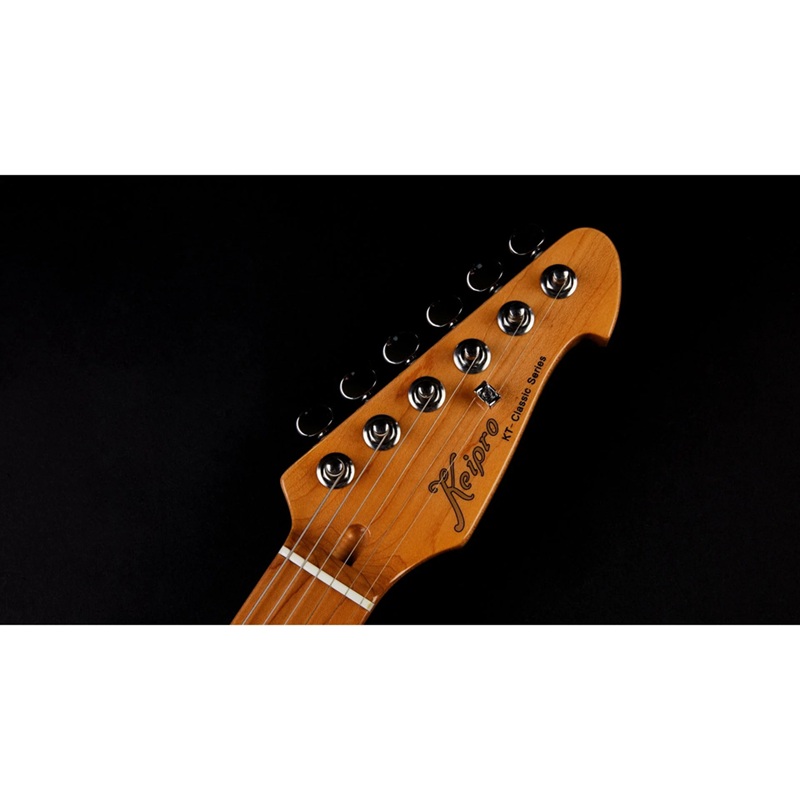 dan-guitar-dien-keipro-classic-series-tl-ss