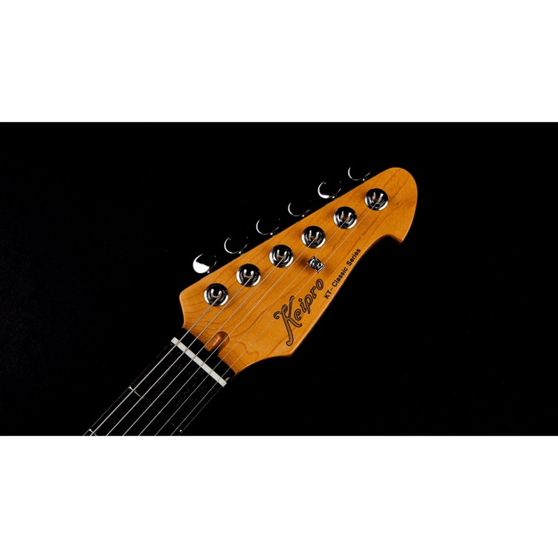 dan-guitar-dien-keipro-classic-series-tl-ss