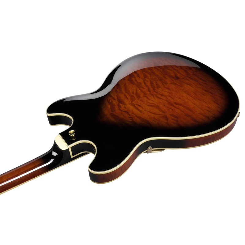 dan-guitar-dien-ibanez-as93qmsp-hh-ebony-fingerboard-5