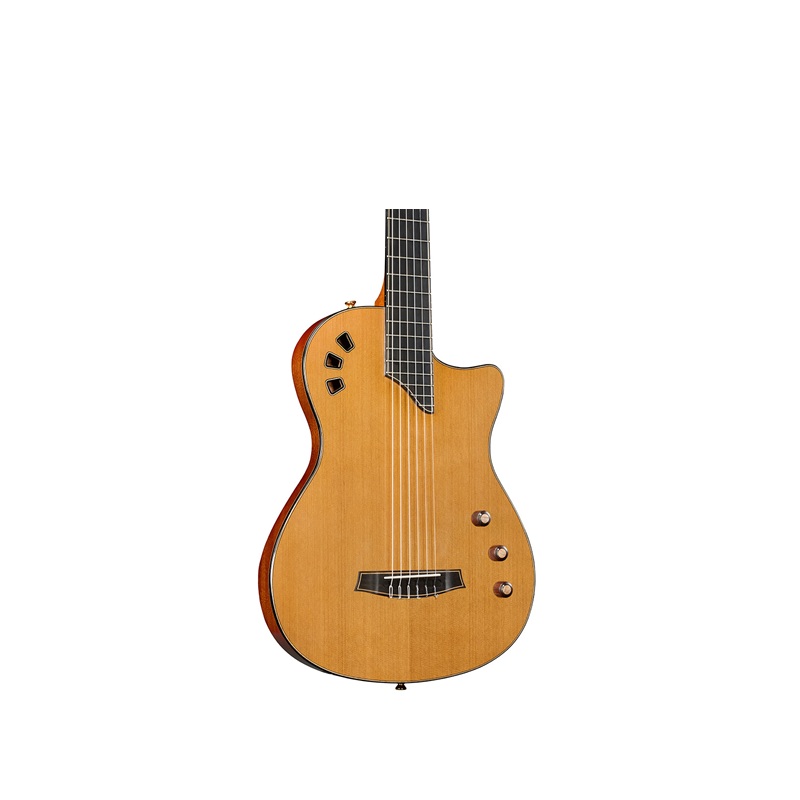 dan-guitar-cordoba-stage-artist-traditional-2