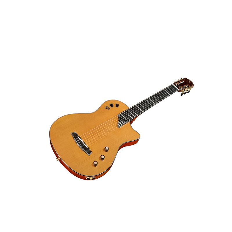 dan-guitar-cordoba-stage-artist-traditional-3