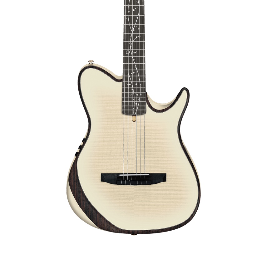 dan-guitar-classic-ibanez-tod100fmn-3