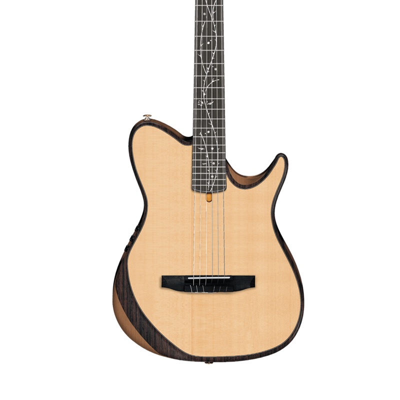 dan-guitar-classic-ibanez-tod100n-1