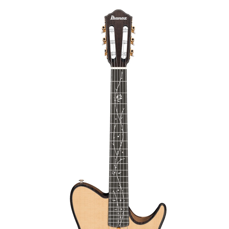 dan-guitar-classic-ibanez-tod100n-2