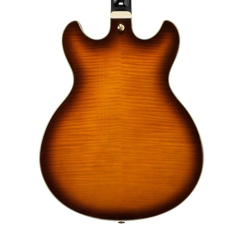 dan-guitar-dien-ibanez-as93fm-hh-ebony-fingerboard-2