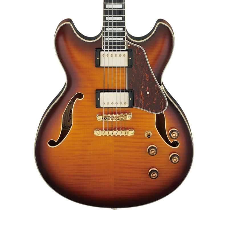 dan-guitar-dien-ibanez-as93fm-hh-ebony-fingerboard-1