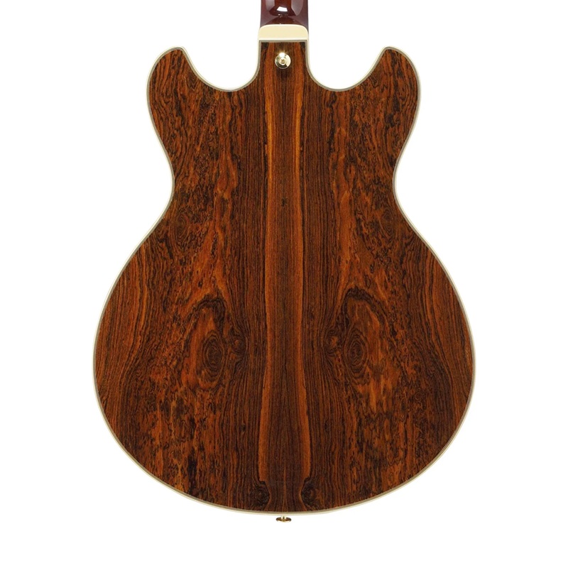 dan-guitar-dien-ibanez-as93bc-hh-ebony-fingerboard-3