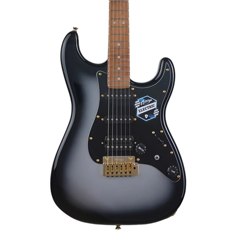 dan-guitar-dien-auriga-as300-hss-maple-fingerboard-sbs--silver-burst-mat-top