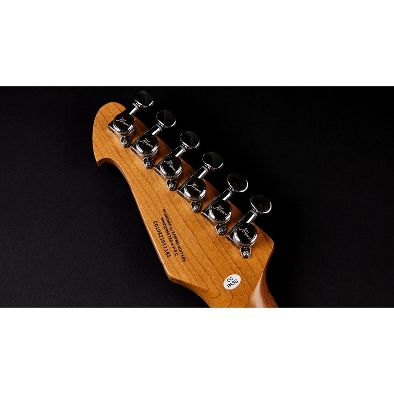 dan-guitar-dien-keipro-standard-series-tl-hs-rosewood-fingerboard