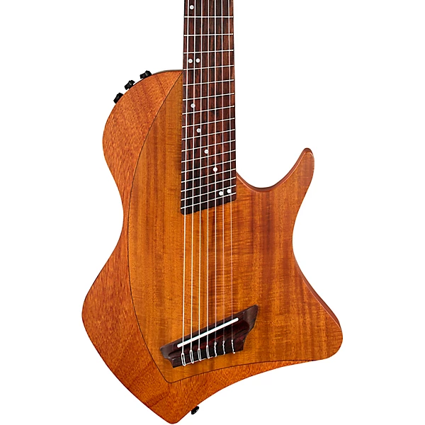 pickup-fishman-tren-cordoba-abasi-stage7