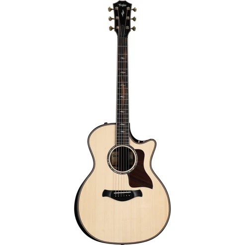 dan-guitar-acoustic-taylor-builders-edition-814ce