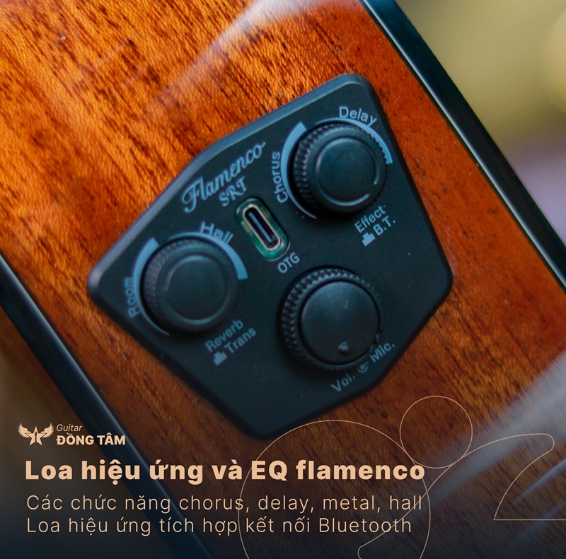 dan-guitar-flamenco-jx-25ce-eq