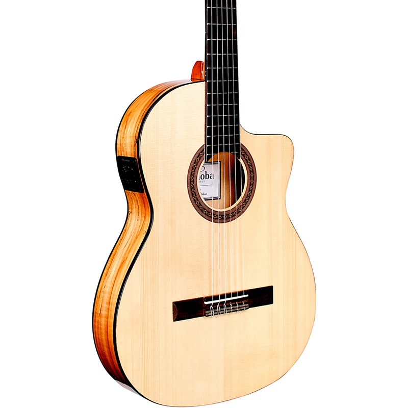 dan-guitar-classic-cordoba-45co-cocobolo-whumicase-mat-top