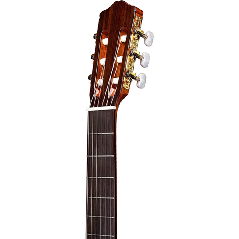 dan-guitar-classic-cordoba-55fce--honey-amber-thinbody-whumicase-khoa-dan