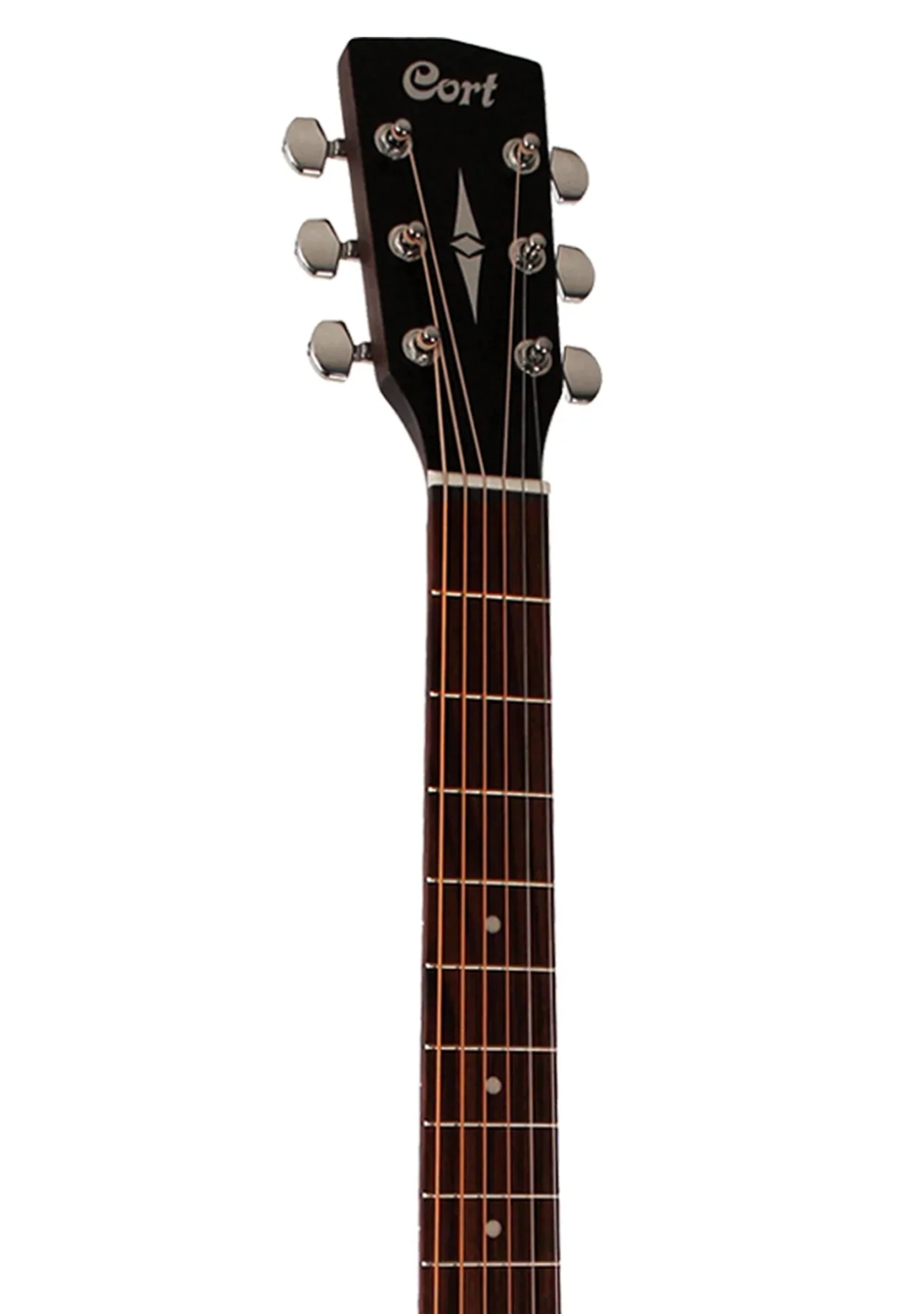 dan-guitar-cort-sfxmem-can-dan