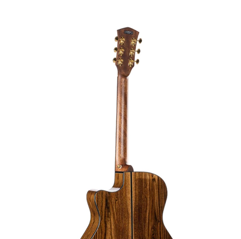 dan-guitar-acoustic-cort-golda6-can-dan