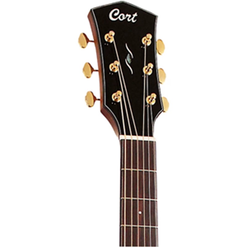 dan-guitar-acoustic-cort-golda6-khoa-dan