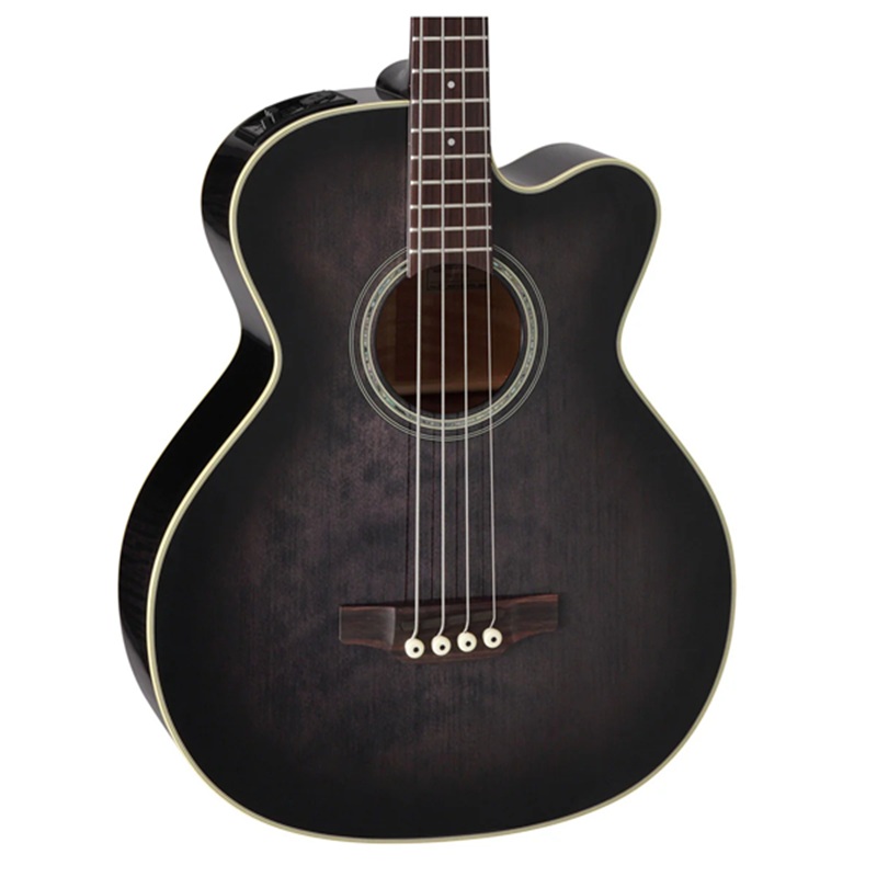 dan-guitar-bass-acoustic-takamine-pb5--4-strings