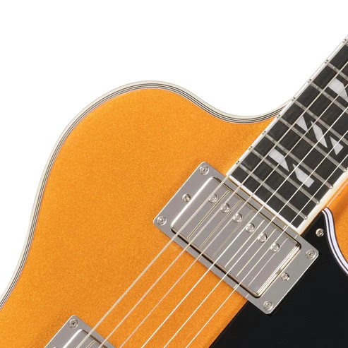 mat-phim-ebony-va-phim-stainless-steel-tren-dan-guitar-dien-epiphone-futura-rd-custom-hh