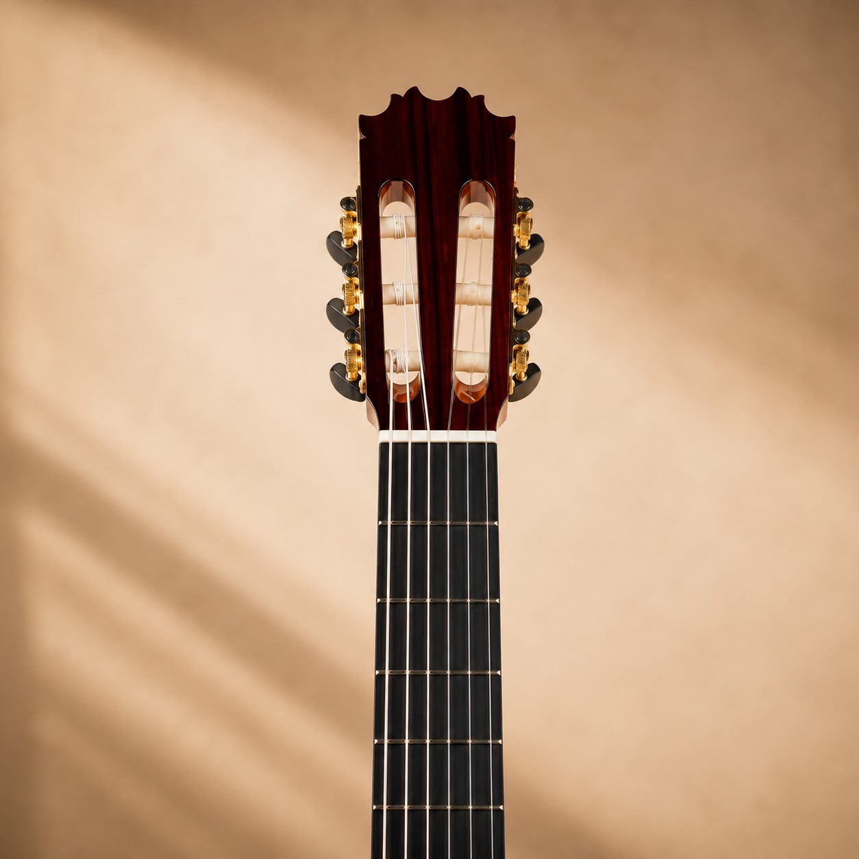 dan-guitar-classic-antonio-de-toledo-at19c-voi-can-va-mat-phim