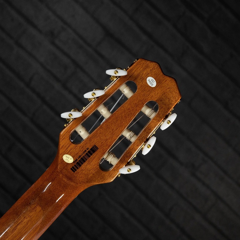 dan-guitar-silent-classic-tagima-modena-nylon-cherry-4