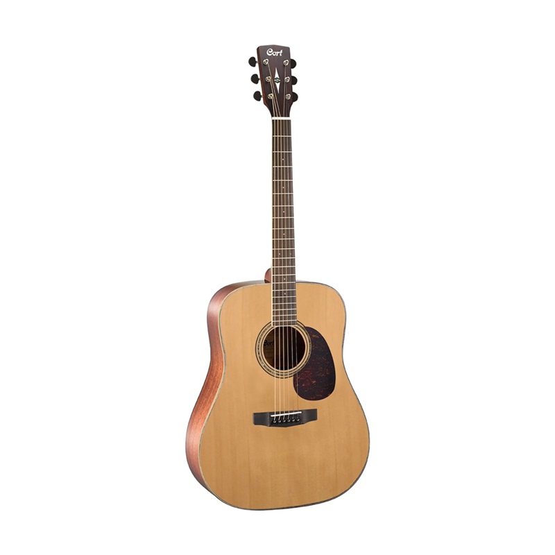 dan-guitar-acoustic-cort-earth100
