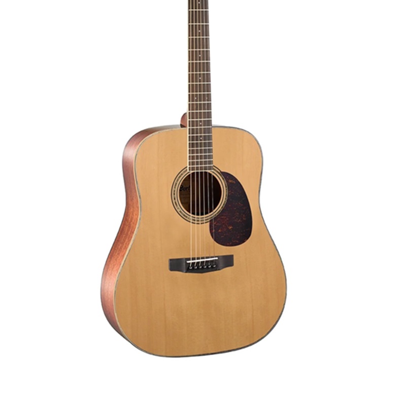 dan-guitar-acoustic-cort-earth100-mat-top
