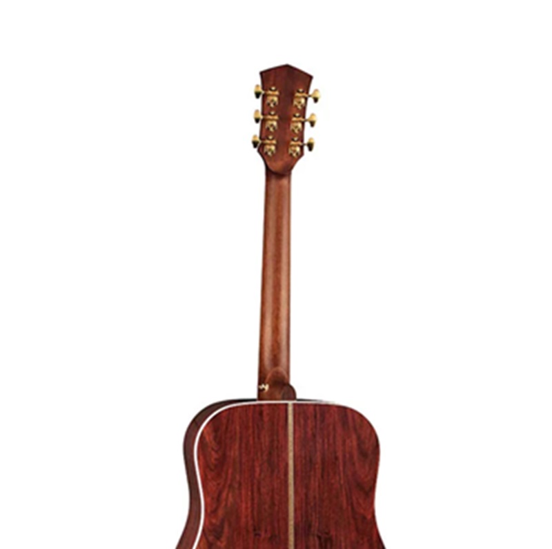 dan-guitar-acoustic-cort-goldd8-can-dan