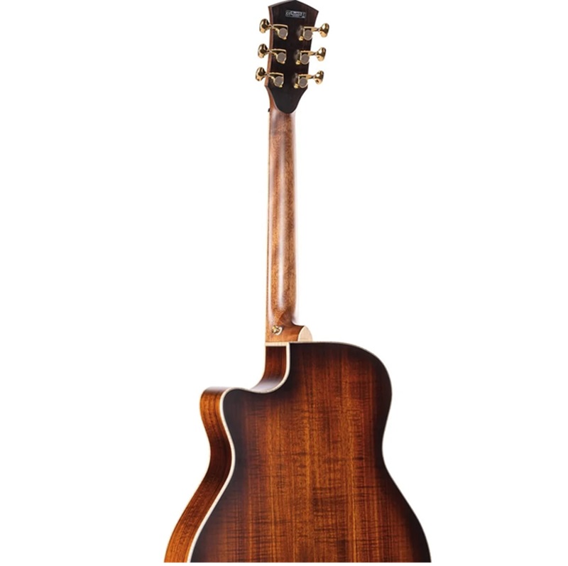 dan-guitar-acoustic-cort-the-black-tree-light-burst-satin-can-dan