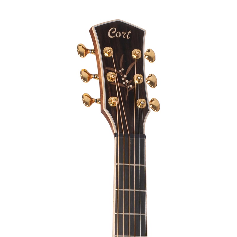 dan-guitar-acoustic-cort-the-black-tree-light-burst-satin-khoa-dan