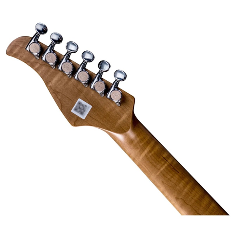 dan-guitar-dien-mooer-gtrs-p801-dark-silver-4